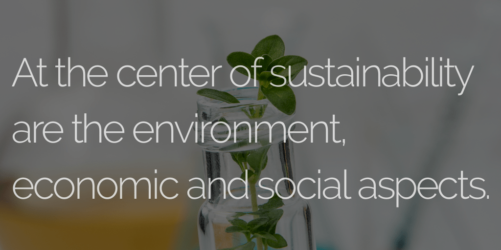 At the center of sustainability are the environment, economic and social aspects