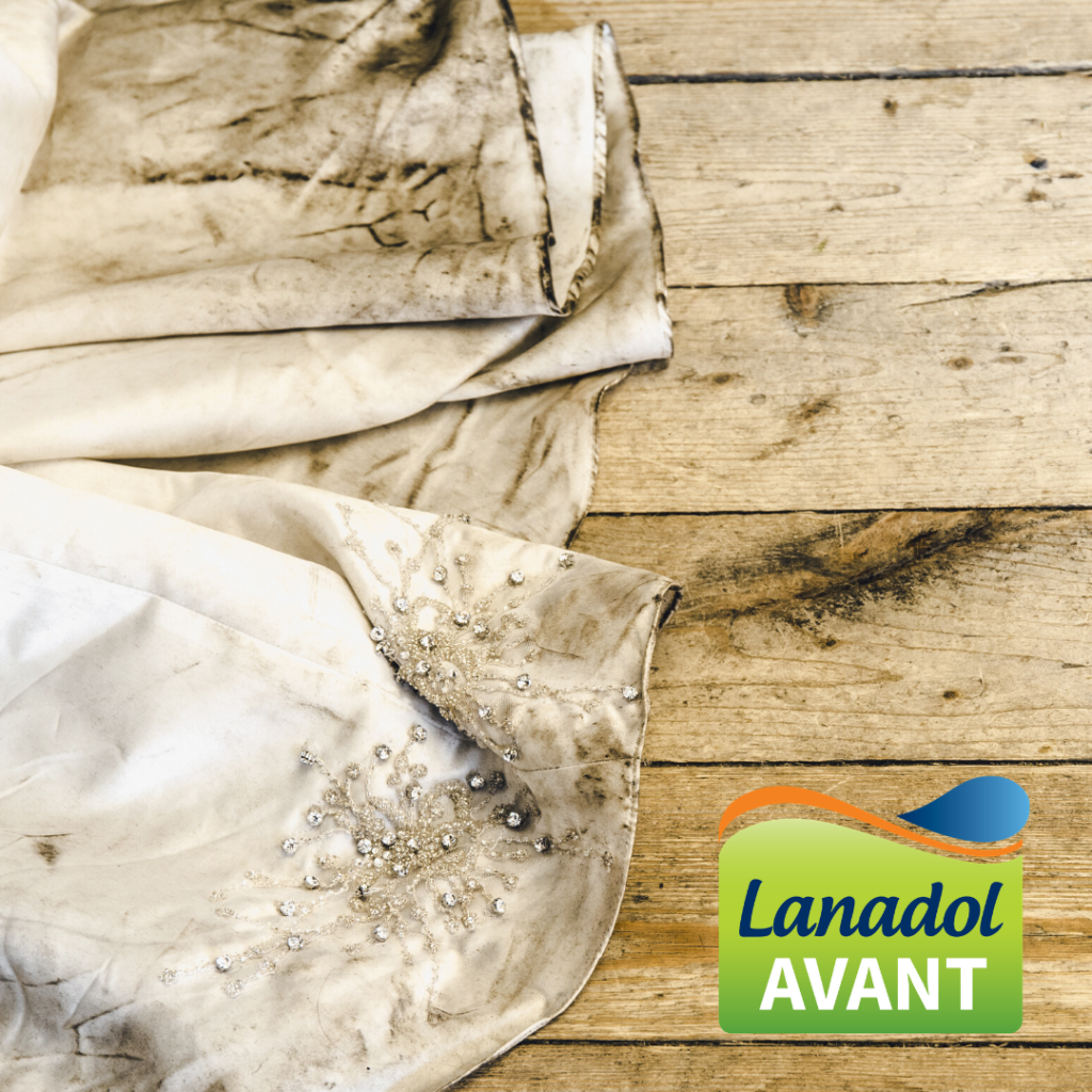 Lanadol Avant for wet cleaning