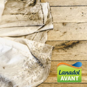 Lanadol Avant for wet cleaning